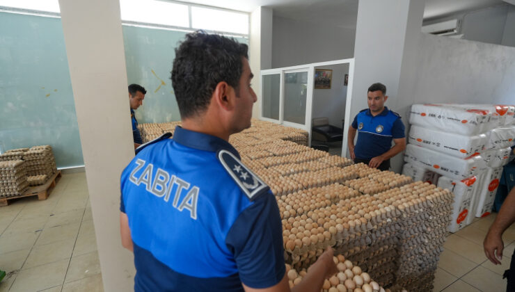 Mersin’de halk sağlığını tehdit eden 60 bin yumurta imha edildi