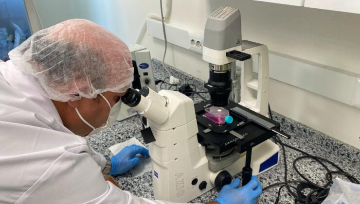 Beyin kanseri tedavisinde etkili nano molekül geliştirildi