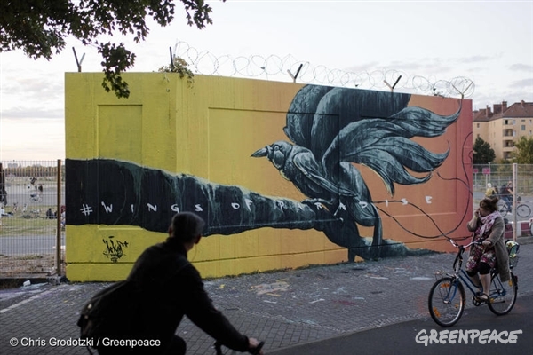 Cennetin Kanatları: Yağmur Ormanlarındaki Tahribatın Resmini Yapabilir Misin? – Greenpeace Türkiye