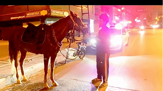 Alkollü kişi at kullanabilir mi?