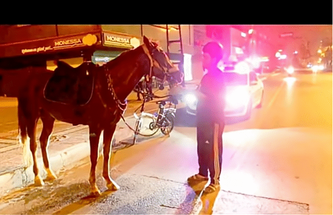 Alkollü kişi at kullanabilir mi?