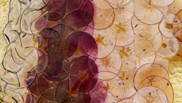 Ruby Jackson’ın ‘Seçicisi’ içinde otobal benzeri bir boşluk canlandırılan kurutulmuş dilimler üretim dilimleri