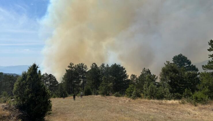 Bursa'da ormanlık alanda çıkan yangın kontrol altında