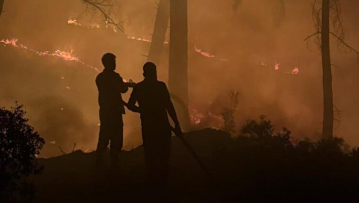 Yangında hayatını kaybeden orman gönüllülerine ‘şehit’ statüsü