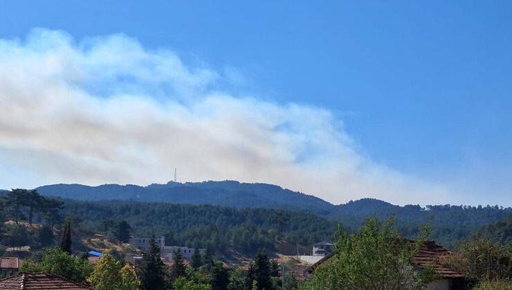 Denizli’de dün çıkan orman yangını sürüyor