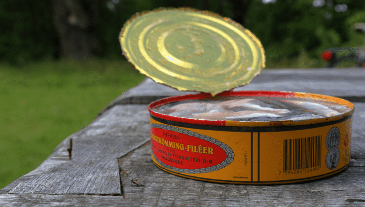 Surströmming Challenge: İsveç kokmuş balık videolarının sosyal medyada viral olmasına ne haber?