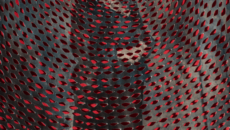 Wellcome 2025 Fotoğraf Ödülü Kazananlarını ortaya çıkarıyor