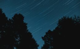 Hiçbir Şey Yolunda Gitmediğinde Sana İyi Gelecek Birkaç Şey