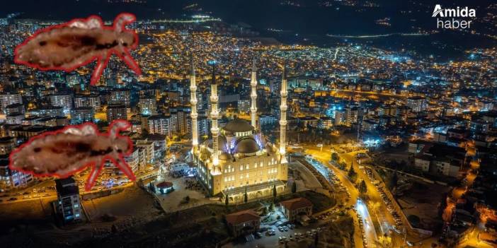 Açlık ve yoksulluk sınırı maaşları katladı: Yeni rakamlar belli oldu