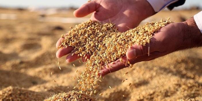 Diyarbakır Eğil’de yeni bir okul açıldı