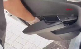 Zehir tacirlerine büyük darbe: 215 gözaltı – Günün Haberleri CNN Türk | Video