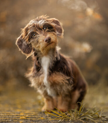 Merhaba dedin mi? – Fstoppers’ta Yong Lei van Barlingen