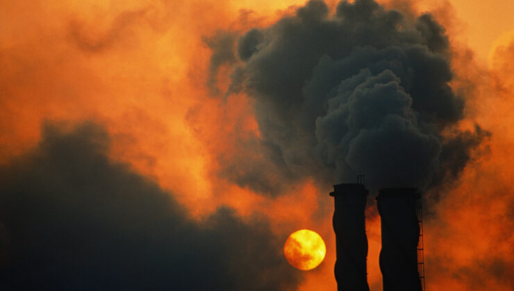 Polen alerjisinden astıma… İklim değişikliği hastalıkları nasıl etkiliyor?