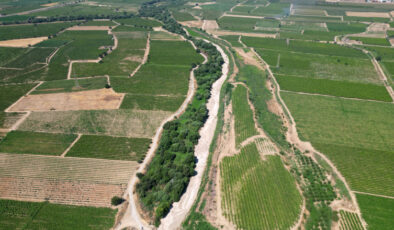 Kuraklığın etkisiyle Gediz Nehri’nin bazı bölümleri kurudu
