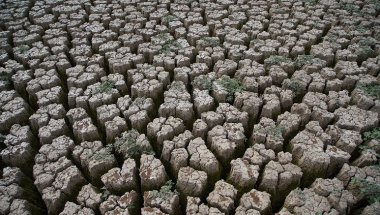 Edirne’deki Şerbettar Göleti kuraklık nedeniyle tamamen kurudu