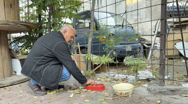 Burdur’da başıboş sokak köpeğinin saldırdığı kişi yaralandı