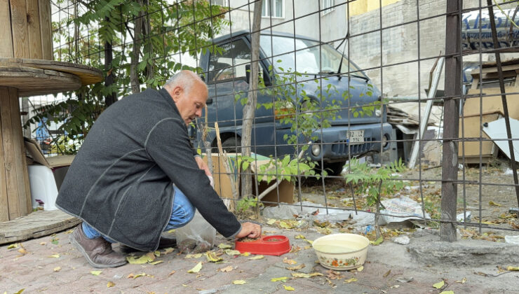 Burdur’da başıboş sokak köpeğinin saldırdığı kişi yaralandı