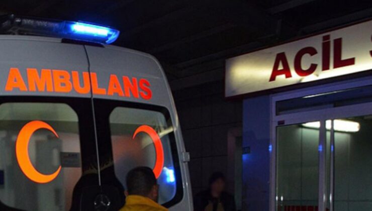 Kahramanmaraş'ta arı sokması can aldı