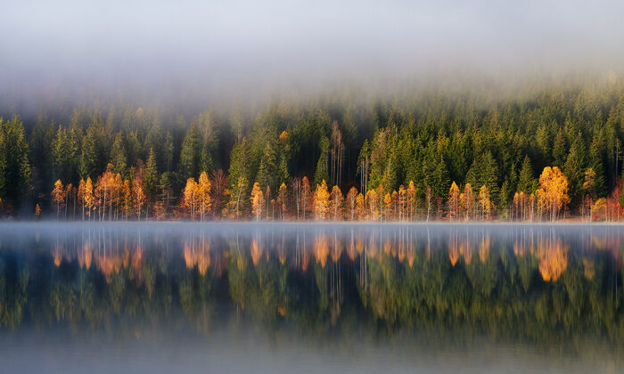 Göl Kenarında Sabah – Fstoppers’ta Brighilă Alex