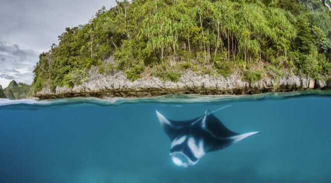 Endonezya değerli adalardaki madenciliği durdurdu