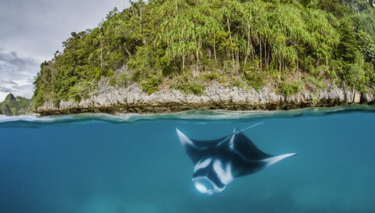 Endonezya değerli adalardaki madenciliği durdurdu