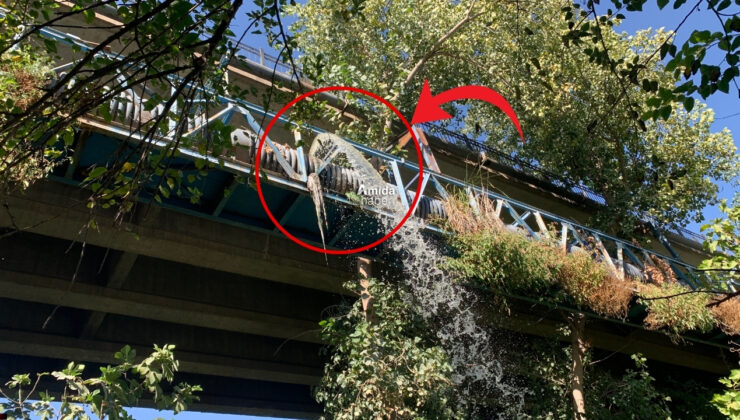 Dicle Nehri’ne 7 aydır zehir akıyor