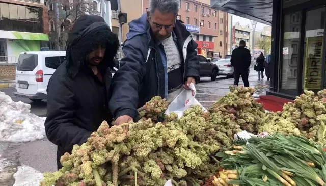 Ünü ABD’ye kadar yayıldı! 300 liraya satılıyor, kanserin yeni ilacı