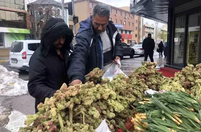 Ünü ABD’ye kadar yayıldı! 300 liraya satılıyor, kanserin yeni ilacı