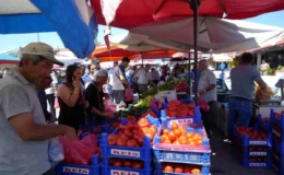 Erzincan Domatesi Bölgeyi Süslüyor