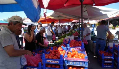 Erzincan Domatesi Bölgeyi Süslüyor