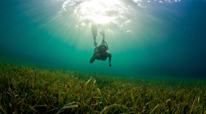 Gözden kaçan bir iklim müttefikinin başı büyük dertte | Koruma Uluslararası