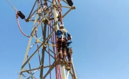 Leyleklerin Güvenliği İçin Enerji Çalışmaları