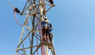 Leyleklerin Güvenliği İçin Enerji Çalışmaları