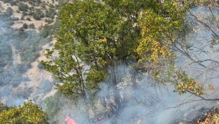 Hakkari’de korkutan yangın söndürüldü