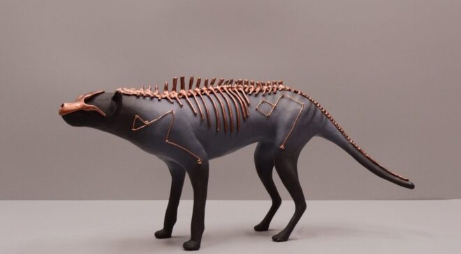 Virginie Gribouilli’den Muhteşem Tuhaf Hayvan Heykelleri