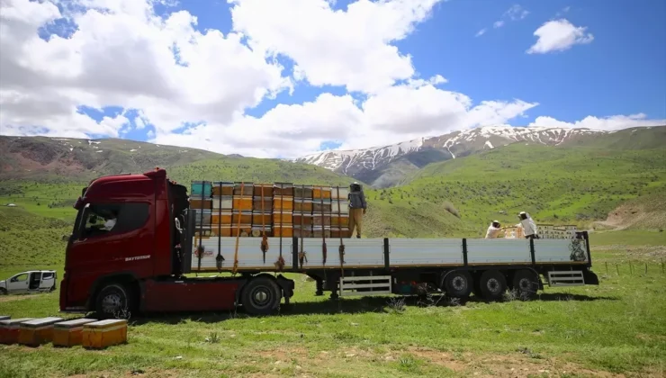 Bingöl Arıcıları İlkbahar İçin Dönüş Yolda