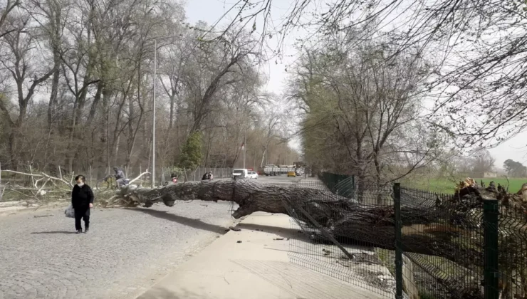 Marmara’ya Kuvvetli Rüzgar Uyarısı