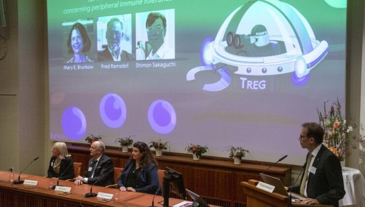 2025 Nobel Tıp Ödülü'nün sahibi belli oldu