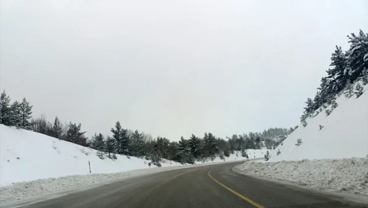 Sivas’ın Suşehri ilçesinde Aşıklar Şelalesi’nin suyu buz tuttu