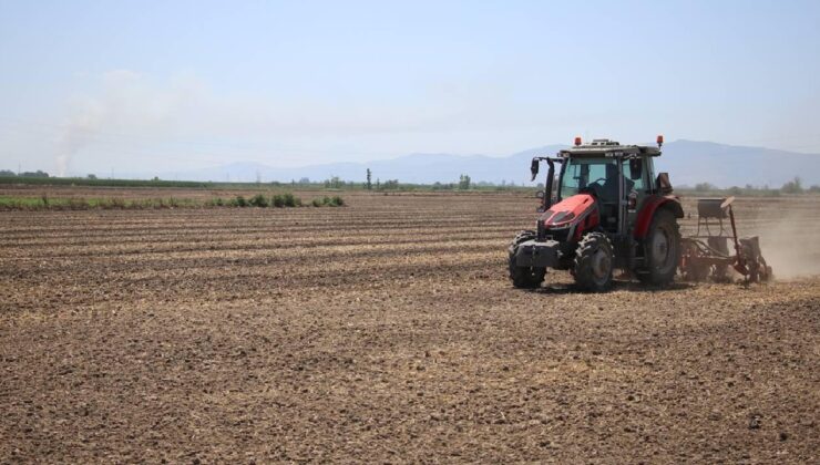 Çiftçilere 2025'te 2,5 milyar lira kuraklık tazminatı ödemesi yapıldı