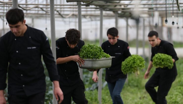 Üniversitelerden tarım teknolojilerine tam destek