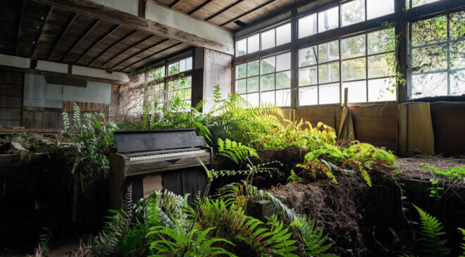 Uluslararası Fotoğrafçılık Ödülleri 2025’ten Muhteşem Ödüllü Fotoğraflar