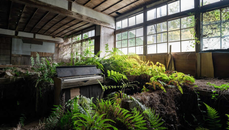 Uluslararası Fotoğrafçılık Ödülleri 2025’ten Muhteşem Ödüllü Fotoğraflar