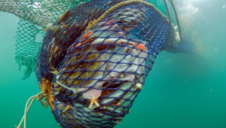 Tartışmalı Bir Balıkçılık Yöntemi İklim Saatli Bombasını Ortaya Çıkarabilir