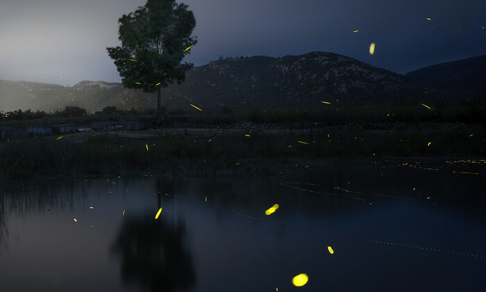 Lagoon Lights – Fstoppers’ta Tiago Marques