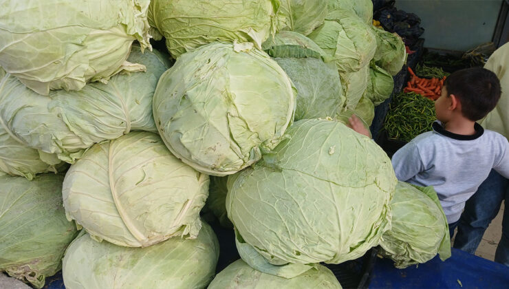 Bakan Yumaklı Diyarbakır’da konuştu: 305 bin kişiye istihdam sağlanacak