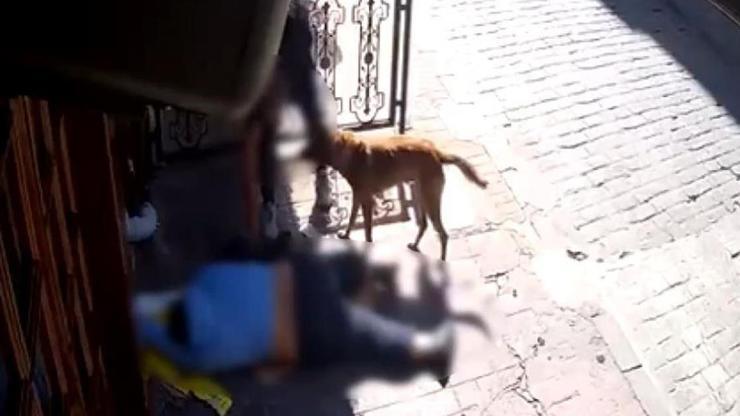 Sara nöbeti sonrası bayılan adamın telefonunu çaldılar