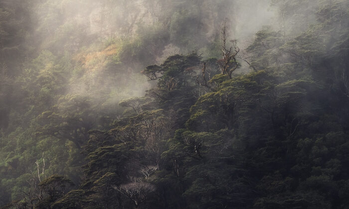 Fiordrest – Fstoppers’ta Jamil Slim