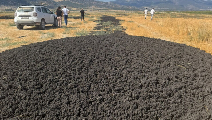 26 kamyon dolusu arıtma çamurunu açık araziye döktüler