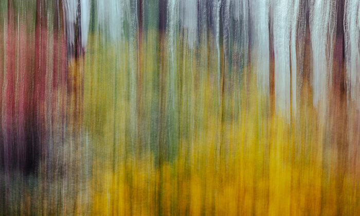 Blooming Dynamics – Fstoppers’ta Alvin Greis